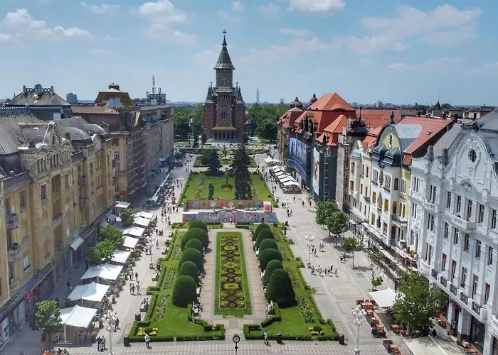 Asha * Тимишоара